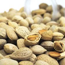 GURBANDI BADAM IN SHELL